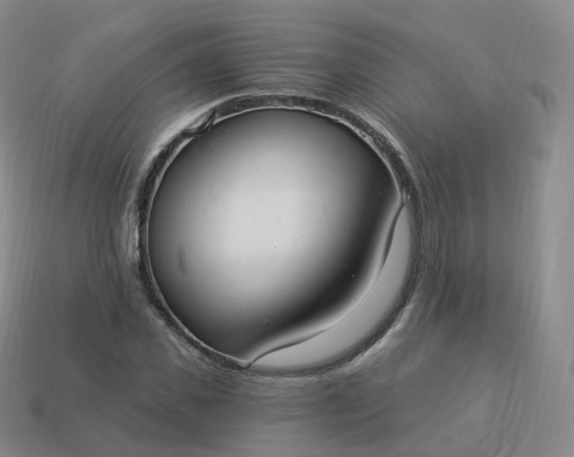 X0000113900925200910081826