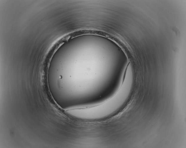 X0000113900926200910081826