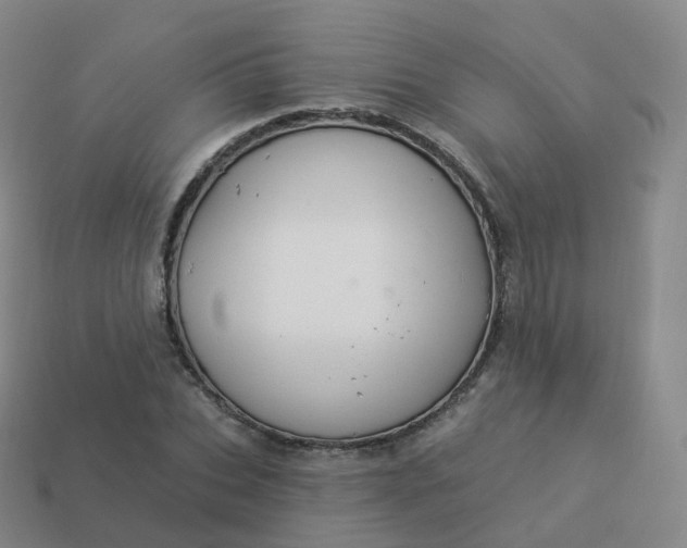 X0000113900927200910081826