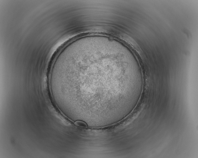 X0000113900928200910081826