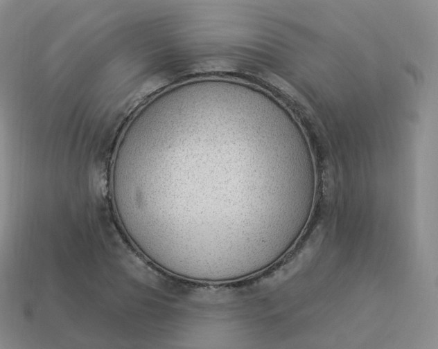 X0000113900929200910081826