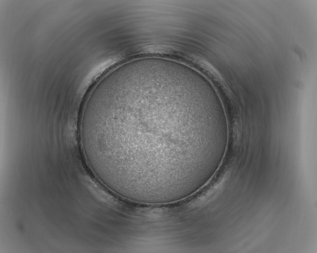 X0000113900930200910081826