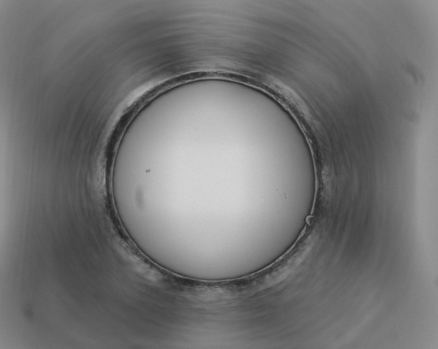 X0000113900931200910081826