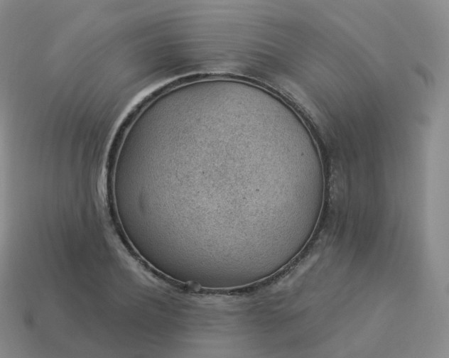 X0000113900932200910081826