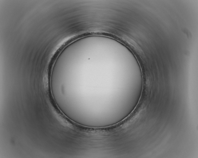 X0000113900934200910081826