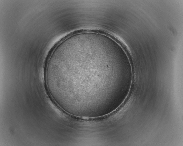 X0000113900935200910081826