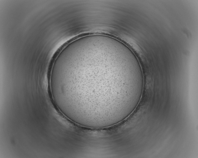 X0000113900936200910081826