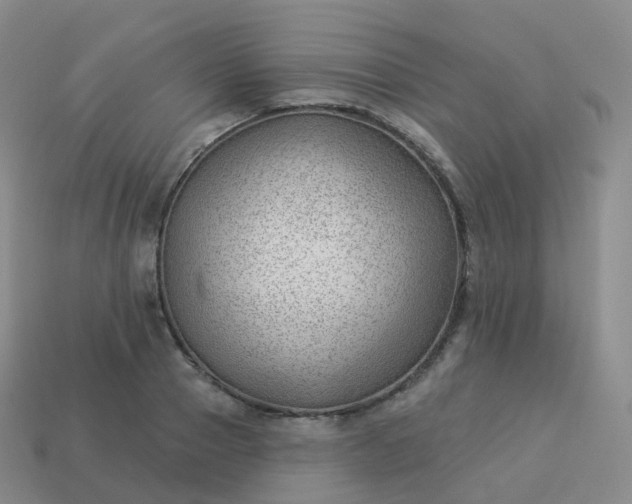 X0000113900937200910081826