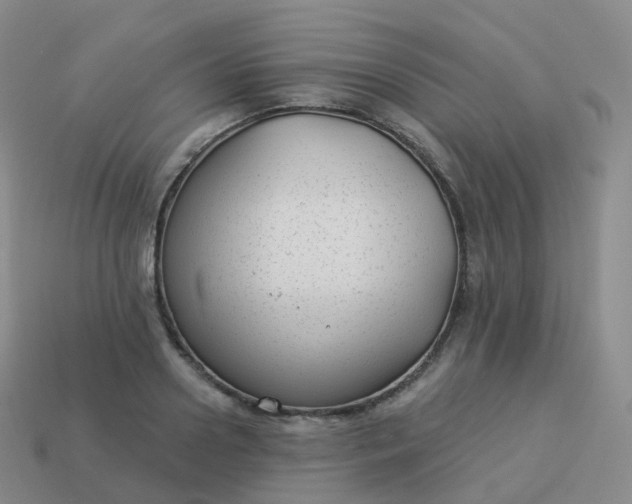 X0000113900938200910081826