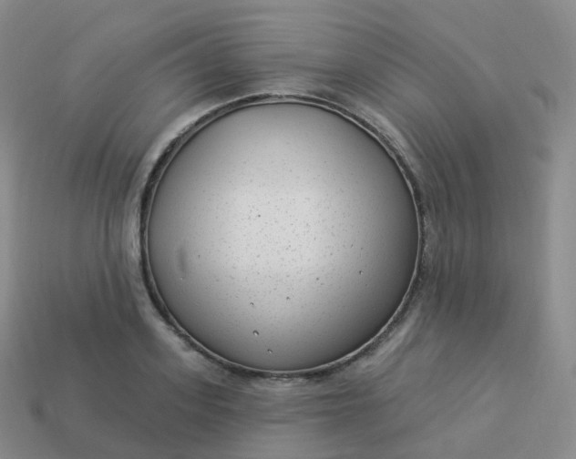 X0000113900939200910081826