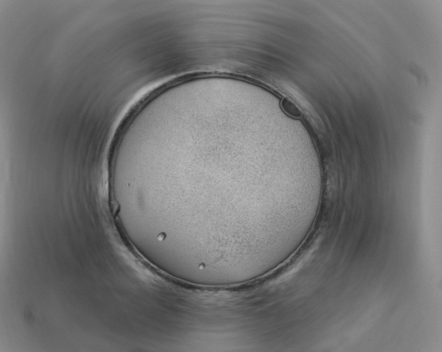 X0000113900940200910081826