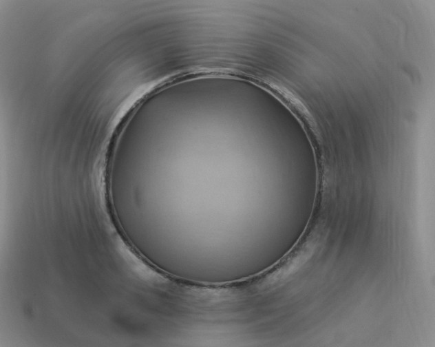 X0000113900941200910081826