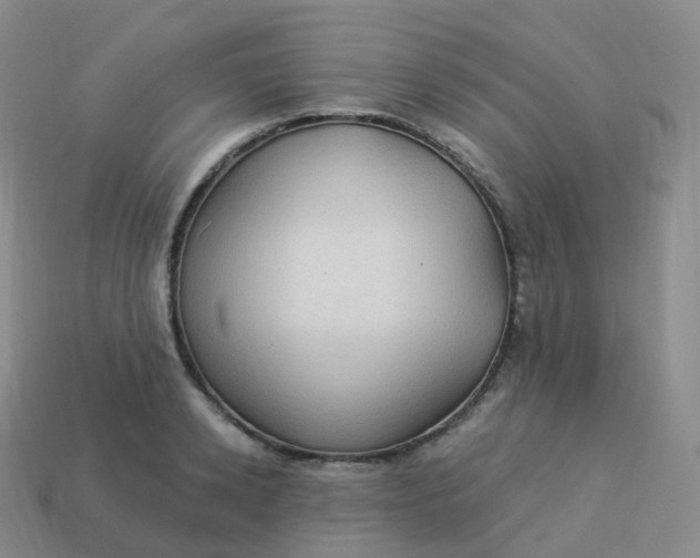 X0000113900942200910081826