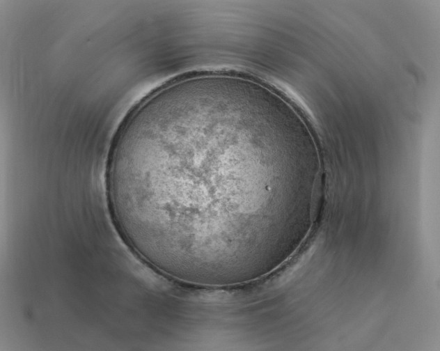 X0000113900943200910081826