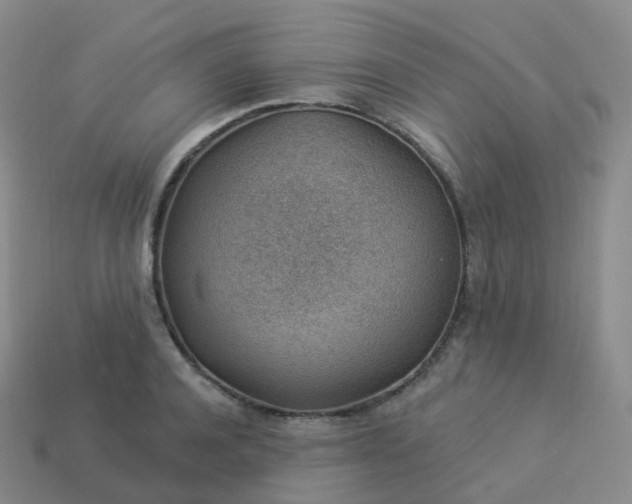 X0000113900944200910081826