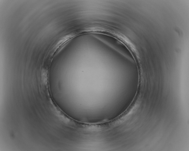 X0000113900945200910081826