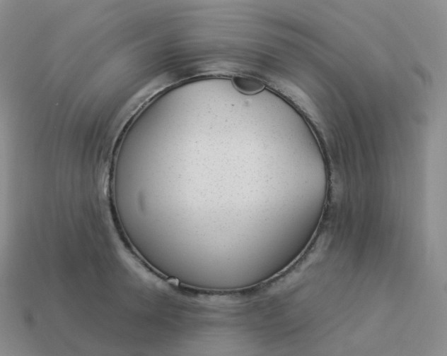 X0000113900946200910081826