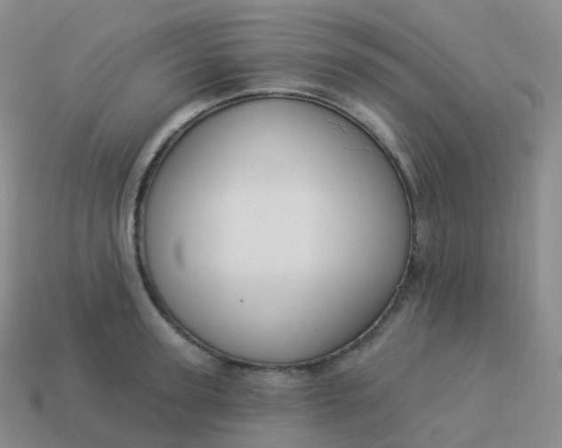 X0000113900947200910081826