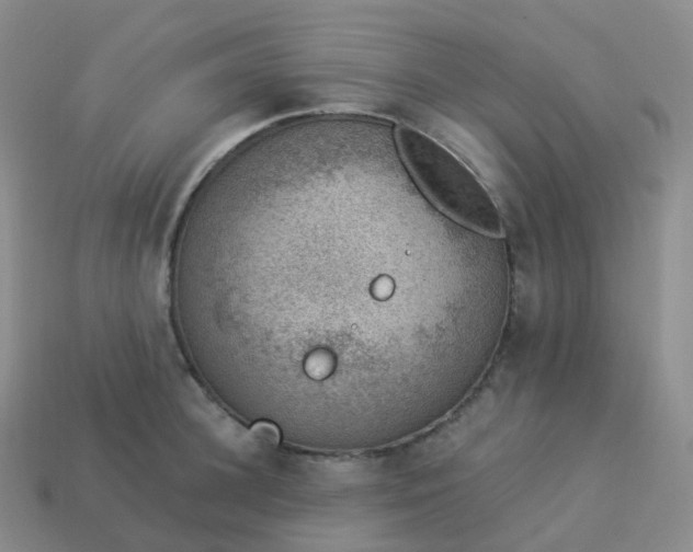 X0000113900948200910081826