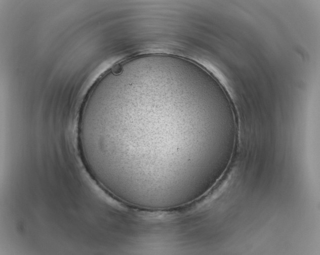 X0000113900949200910081826