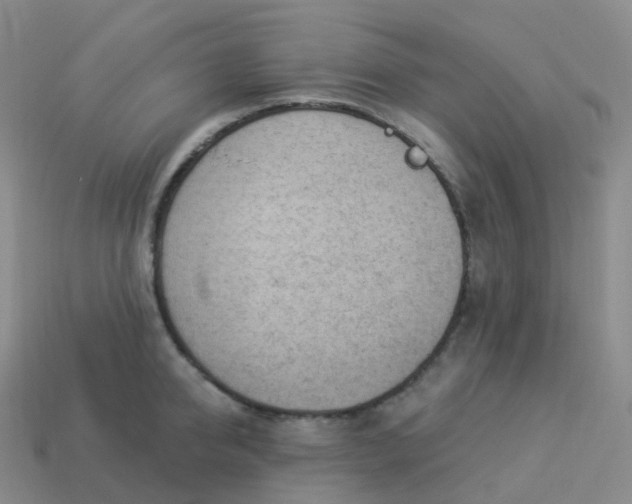 X0000113900950200910081826