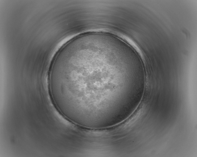 X0000113900951200910081826