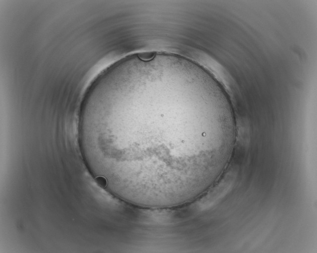 X0000113900952200910081826