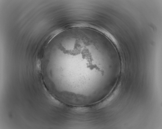 X0000113900953200910081826