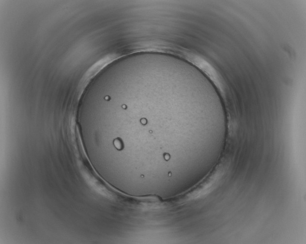 X0000113900954200910081826