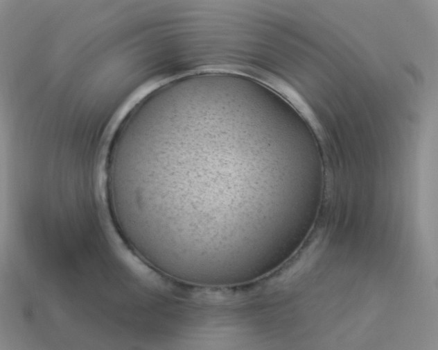 X0000113900955200910081826