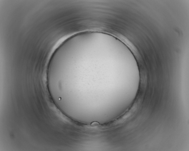 X0000113900956200910081826