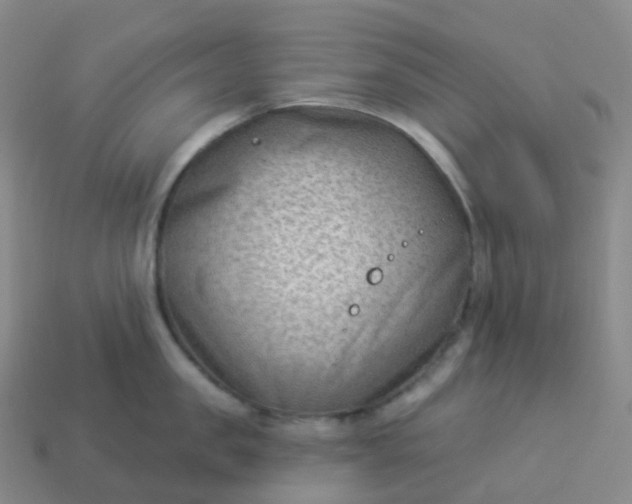 X0000113900957200910081826