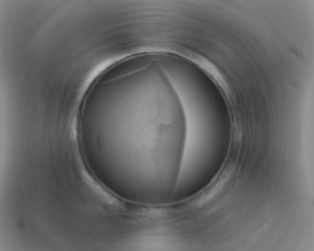 X0000113900958200910081826