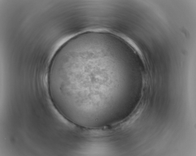 X0000113900959200910081826