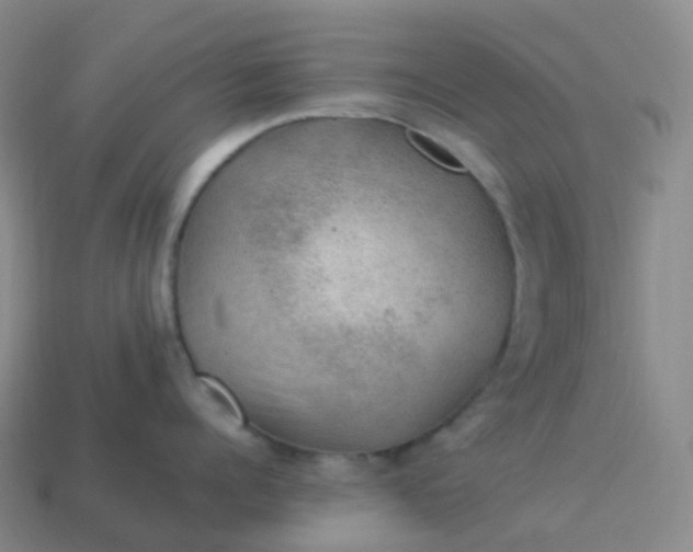 X0000113900960200910081826