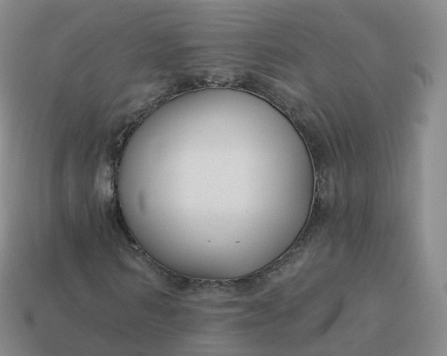 X0000113900962200910081826