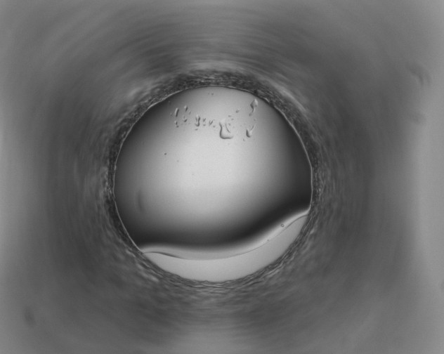 X0000113900965200910081826