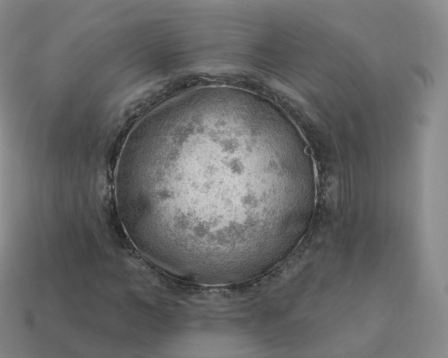 X0000113900966200910081826