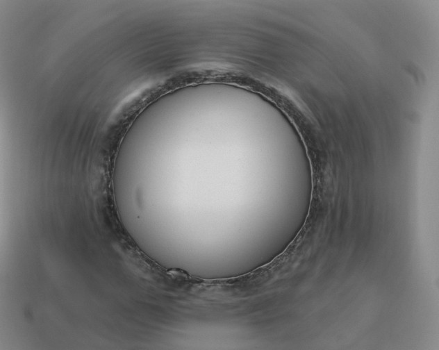 X0000113900967200910081826