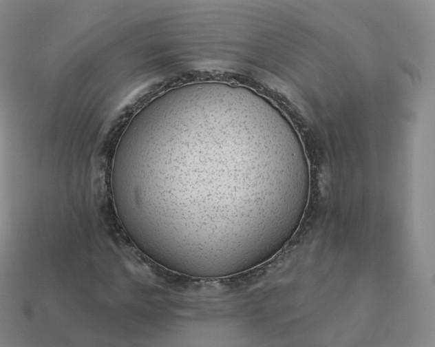 X0000113900968200910081826