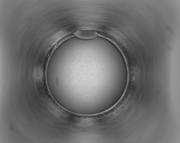 X0000113900969200910081826