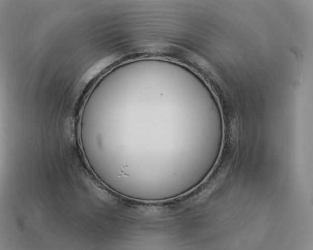 X0000113900970200910081826