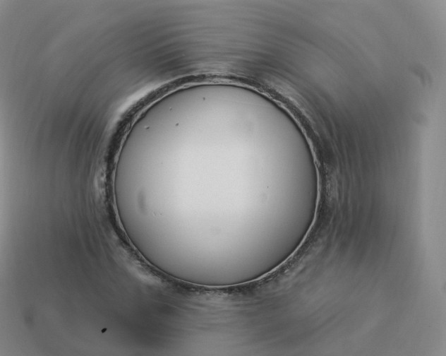 X0000113900971200910081826