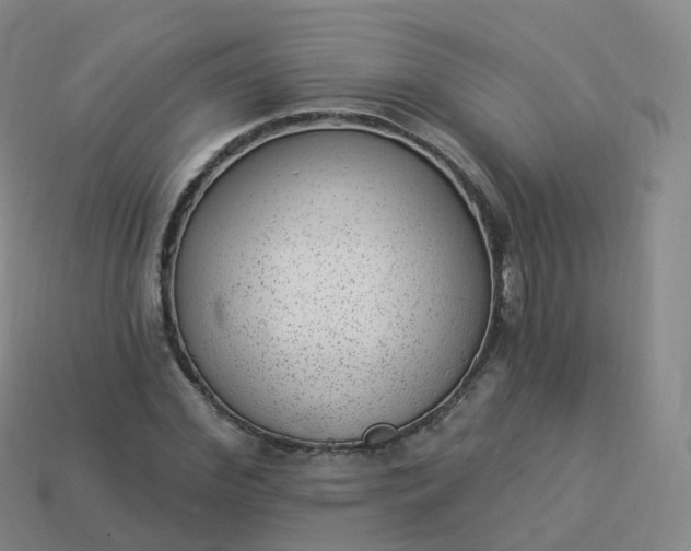 X0000113900972200910081826