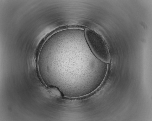 X0000113900973200910081826