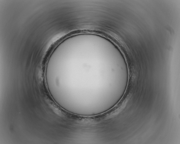 X0000113900974200910081826