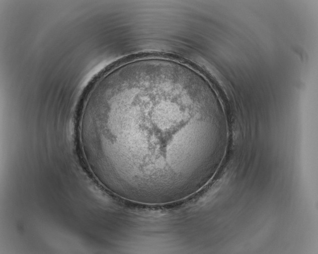 X0000113900975200910081826