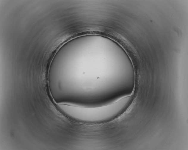 X0000113900977200910081826