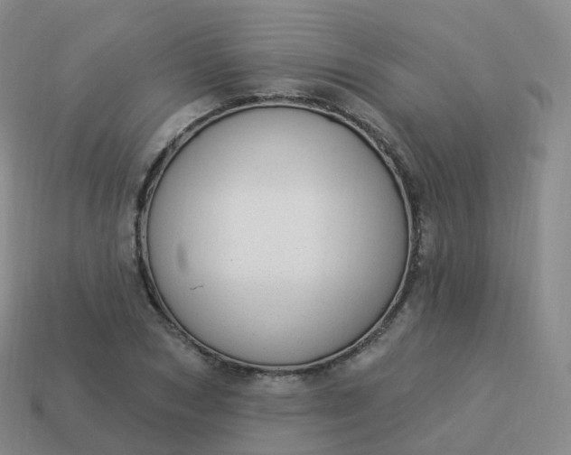 X0000113900978200910081826