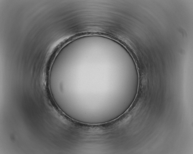 X0000113900979200910081826